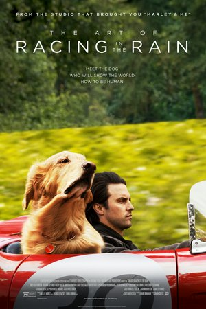 Sztuka ścigania się w deszczu, Milo Ventimiglia,Amanda Seyfried,Gary Cole,Kathy Baker,Ryan Kiera Armstrong,Martin Donovan,Al Sapienza,Lily Dodsworth-Evans,Andres Joseph,Karen Holness