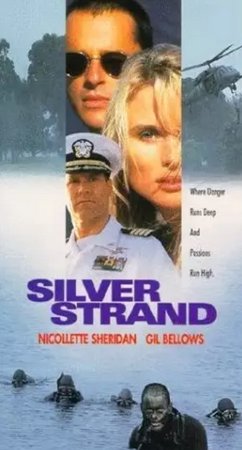 SREBRNY BRZEG, Nicollette Sheridan, Gil Bellows, Jay O. Sanders, Jennifer O'Neill, Tony Plana, Wolfgang Bodison, Rahman, Anjul Nigam, Tim Guinee, Stephen Curry