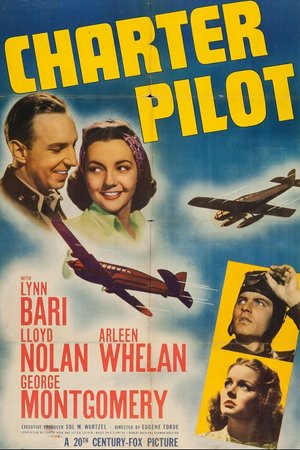Charter Pilot, Lloyd Nolan,Lynn Bari,George Montgomery,Arleen Whelan,Hobart Cavanaugh,Etta McDaniel,Henry Victor,Andrew Tombes,Charles Wilson,Chick Chandler