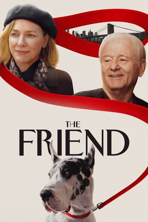 Przyjaciel, Bill Murray,Naomi Watts,Cloé Xhauflaire,Susan Wands,Susan Lynskey,Joel Van Liew,Josh Pais,Carla Gugino,Constance Wu,Noma Dumezweni