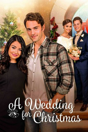 Ślub w Boże Narodzenie, Vivica A. Fox,Cristine Prosperi,Colton Little,Curtis McGann,Lesli Kay,William McNamara,Vivica,Cristine,Robert Livingston